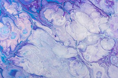 Passion & Dedication